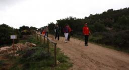  Nordik Walking a Berchidda, Limbara Sud: questo sport è praticabile in Foresta