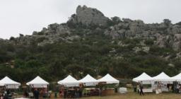 Area degli stand allestita nella foresta di Limbara sud