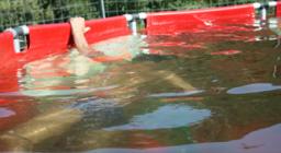 immersione per recupero degli euprotti immersione per recupero degli euprotti