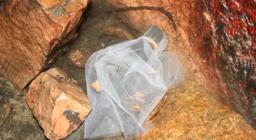 un semplice accorgimento può salvare la vita a molti euprotti: filtro posizionato all’ingresso di tubo di captazione per vasca mobile AIB un semplice accorgimento può salvare la vita a molti euprotti: filtro posizionato all’ingresso di tubo di captazione per vasca mobile AIB