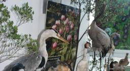 mostra naturalistica all'arboreto mediterraneo
