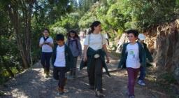Bambini in foresta, attività di Educazione Ambientale
