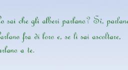 elaborato vincitore classi quinte