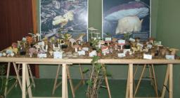 Tipi di funghi, Mostra itinerante Monte Arci Tipi di funghi, Mostra itinerante Monte Arci