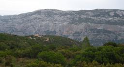 Scorcio della Foresta di Silana Scorcio della Foresta di Silana