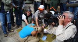 Liberazione Gipeto. Marcatura