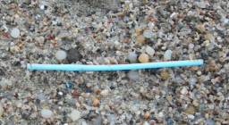 Coton fioc spiaggiato circondato da palline di polietilene Coton fioc spiaggiato circondato da palline di polietilene