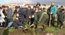 Ittiri - Un milione di nuovi alberi Ittiri - Un milione di nuovi alberi