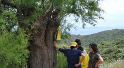 Premiazione concorso Cittadini del bosco - Asinara