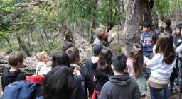 Premiazione concorso Cittadini del bosco - F.D. Montimannu