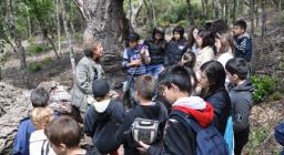 Premiazione concorso Cittadini del bosco - F.D. Montimannu