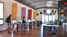 Monte Limbara Sud, loc. Sa Dispensa, Arboreto mediterraneo- Aula Didattica