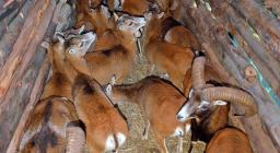 Interno del tunnel di cattura