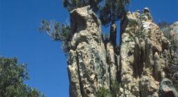 Arzachena, massiccio di granito con ginepro fenicio