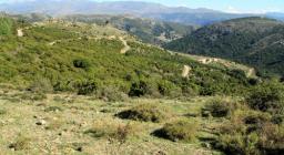 Rio Nuxi, Seui  - panorama