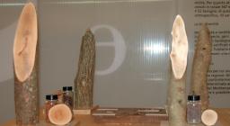 L'Ente Foreste alla Fiera di Cagliari 2007 L'Ente Foreste alla Fiera di Cagliari 2007