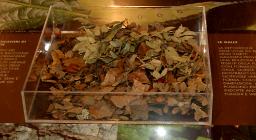 L'Ente Foreste alla Fiera di Cagliari 2007 L'Ente Foreste alla Fiera di Cagliari 2007