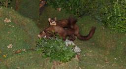 L'Ente Foreste alla Fiera di Cagliari 2007 L'Ente Foreste alla Fiera di Cagliari 2007