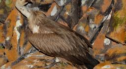 L'Ente Foreste alla Fiera di Cagliari 2007 L'Ente Foreste alla Fiera di Cagliari 2007