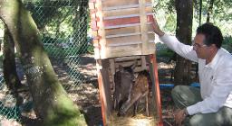 I cerbiatti liberati presso il recinto faunistico dei Settefratelli