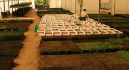 Progetto Vuelo: l'Ente Foreste in Andalusia Progetto Vuelo: l'Ente Foreste in Andalusia