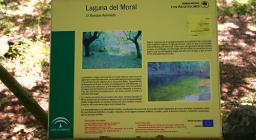 Progetto Vuelo: l'Ente Foreste in Andalusia Progetto Vuelo: l'Ente Foreste in Andalusia