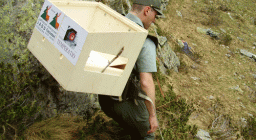 Contenitori per il trasporto dei gipeti Contenitori per il trasporto dei gipeti