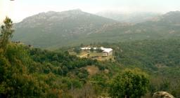 panoramica del centro visite e dell'area arboreto