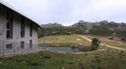 scorcio del sentiero didattico per l'arboreto mediterraneo presso Limbara Sud