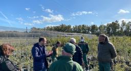 corso vivaistica, attività di Analisi sintomi