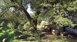 Antico insediamento pastorale per la transumanza, Oliena
