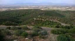 B Mogumu (foto F.Pisu) 1