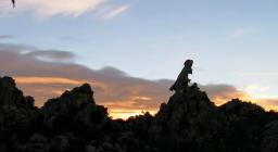 Crabarissa all'alba (foto Monica Solinas)