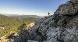 operai forestali al lavoro a Gairo