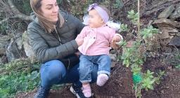 Festa degli alberi - Armungia