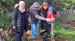 Festa degli alberi - Armungia