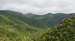 Foresta Pixinamanna dal sentiero Cascata di Sa Spendula (Pula)