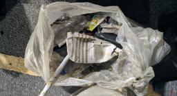 rifiuti abbandonati nel bosco rifiuti abbandonati nel bosco