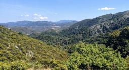 Lungo il Sentiero Italia, vista su Settefratelli e bosco di Tuviois