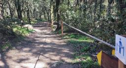 dentro Bosco Selene, il bosco urbano di Lanusei