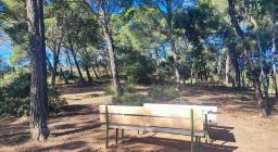 Scorcio della pineta di Sinnai