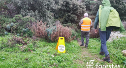 Escursionisti in battuta di caccia attraverso un sentiero (foto A. Saba).