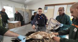 LIFE Safe for Vultures - visite anamnestiche a Bonassai marzo 2023