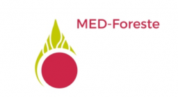 logo MEd foreste