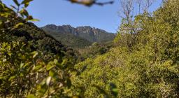 Gutturu Mannu lungo il sentiero 203 (foto A.Saba)