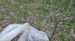 incredibili materiali rinvenuti lungo un sentiero incredibili materiali rinvenuti lungo un sentiero