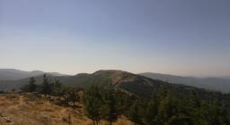 Muggianeddu (foto Tore Cambedda) 3 Muggianeddu (foto Tore Cambedda) 3