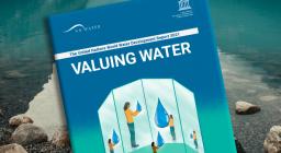 report ONU sull'Acqua 2021