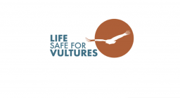 Logo progetto Safe for Vultures