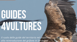 Locandina evento Guides 4Vultures